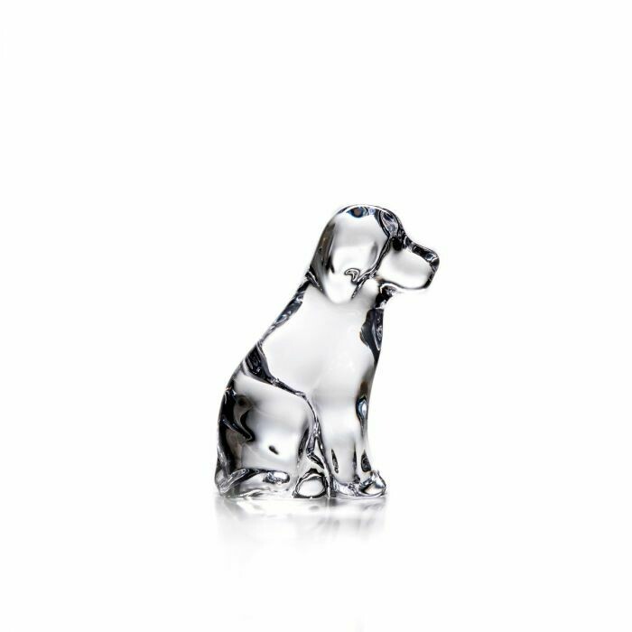 Dog – 8465