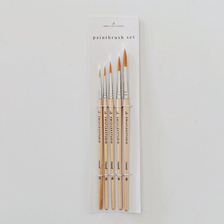 Paintbrush Set