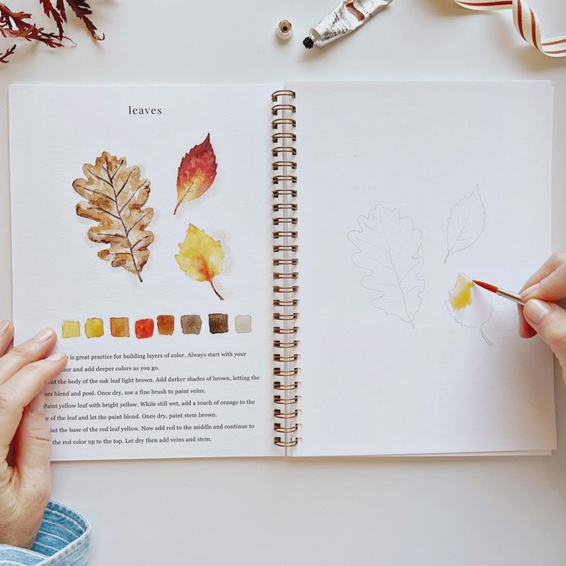 Watercolor Workbook