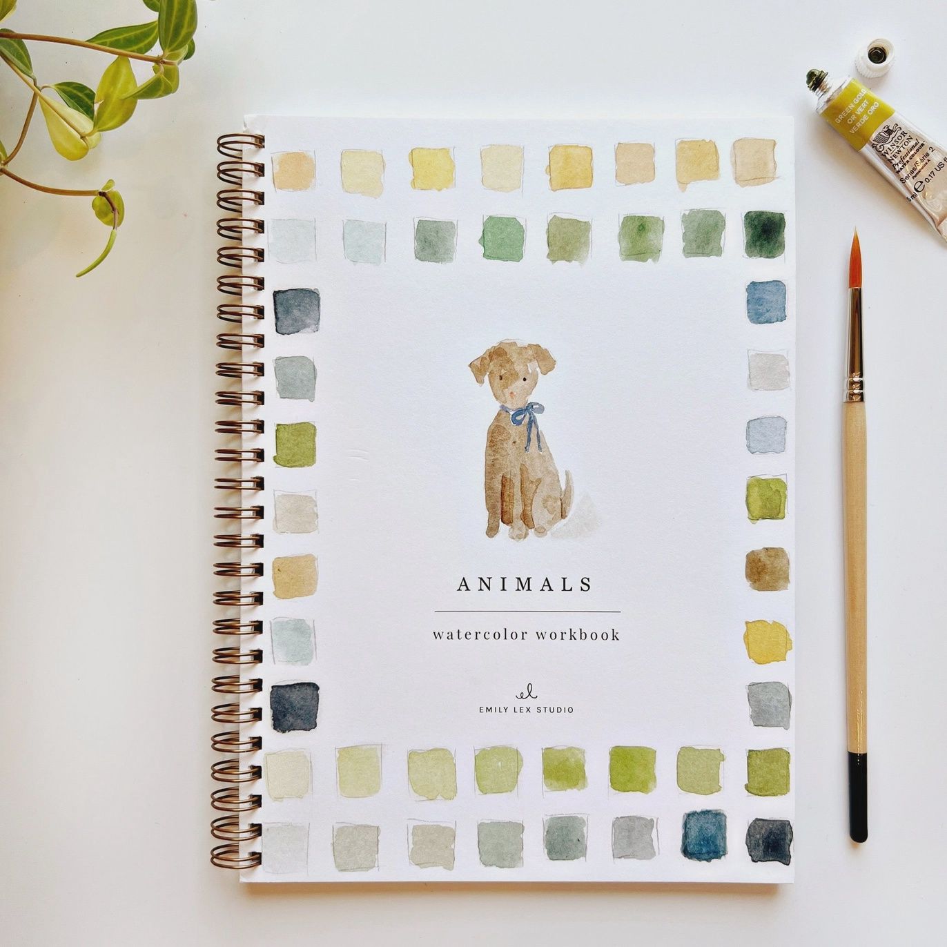 Watercolor Workbook, Name: Animals
