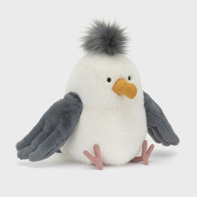JC Chip Seagull