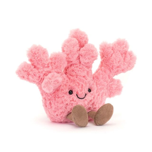 JC Coral