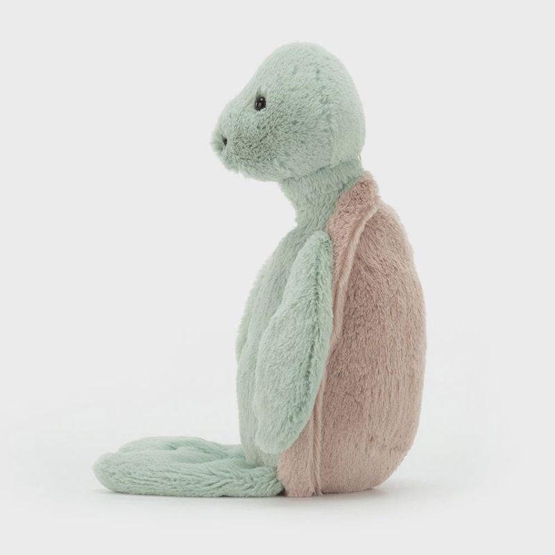 JC Bashful Turtle