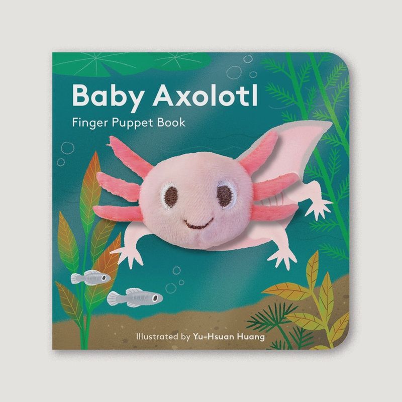 Finger Puppet Book