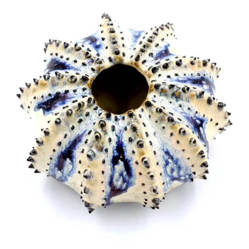 Sea Urchin Bud Vase