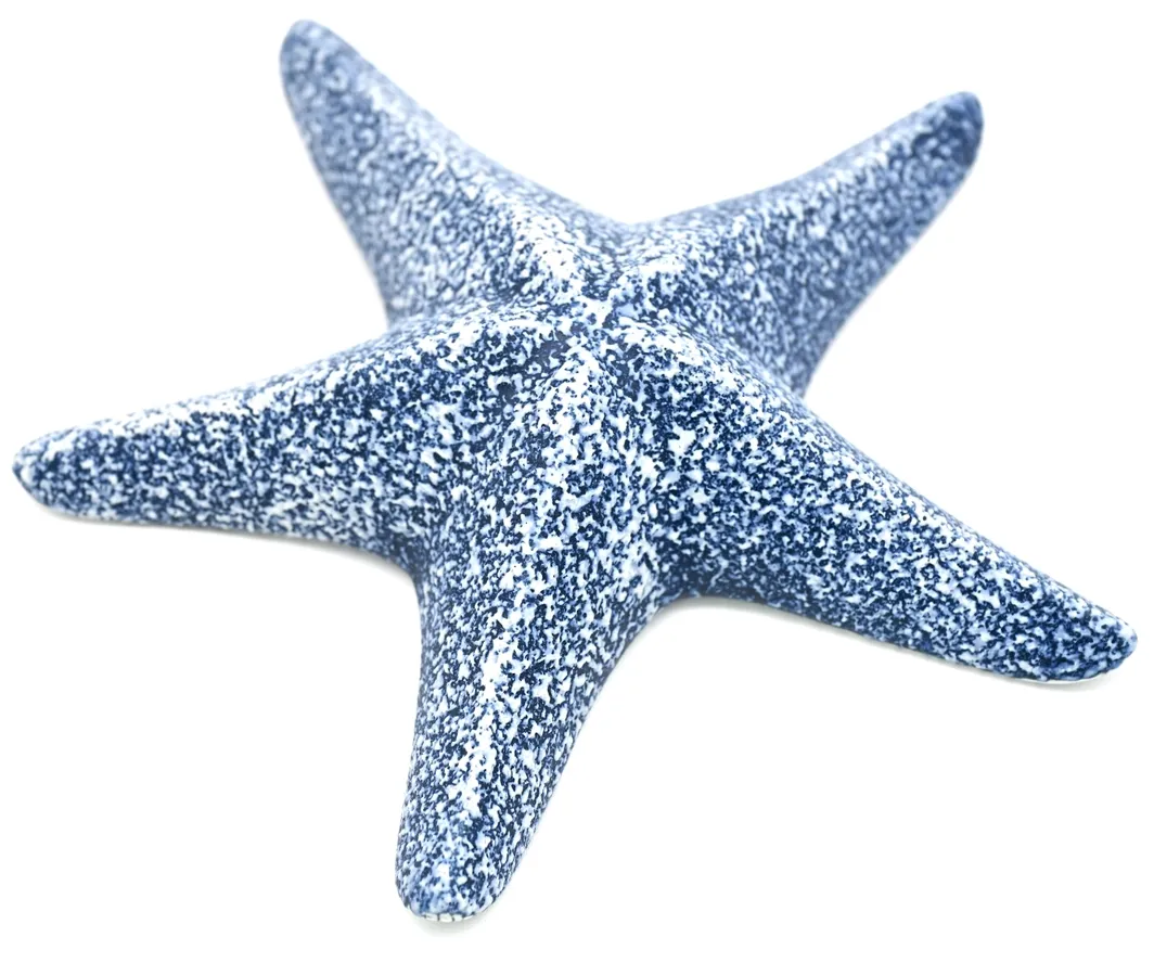 Porcelain Starfish D544W15BLUE