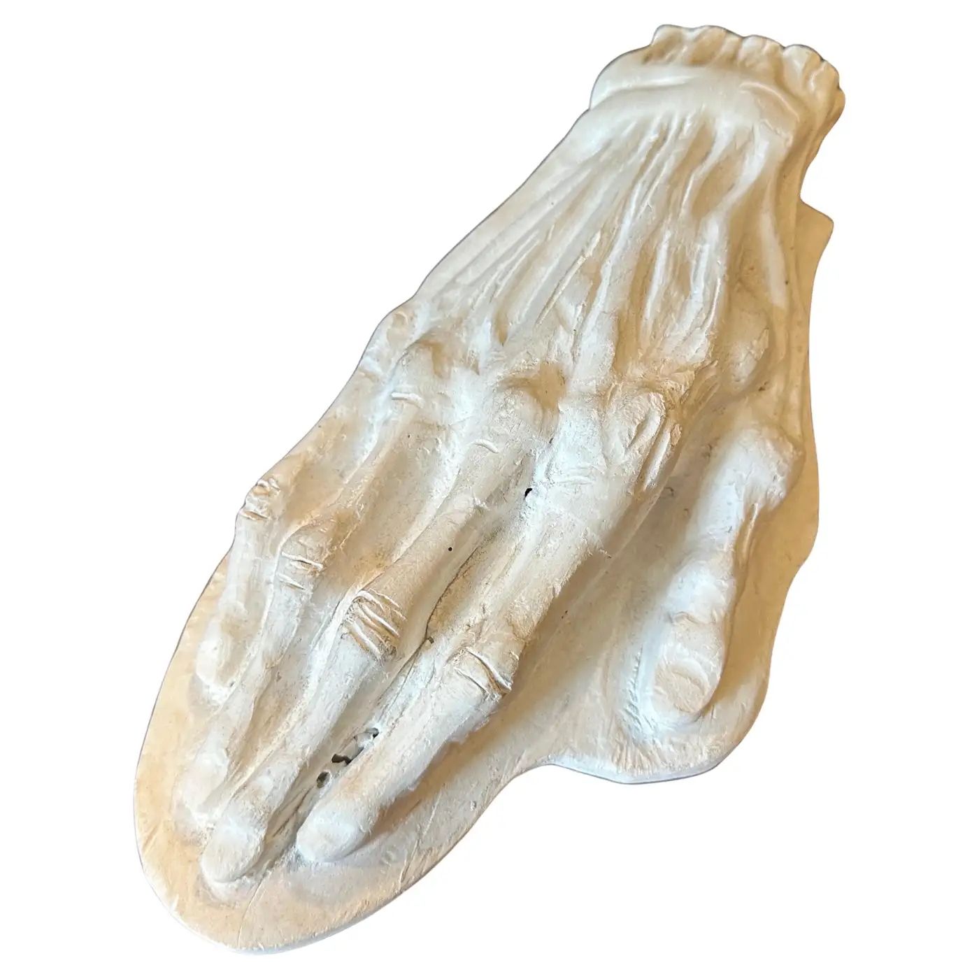 1950s Plaster Anatomic School Study of a Human Hand 1950s Plaster Anatomic School Study of a Human Hand