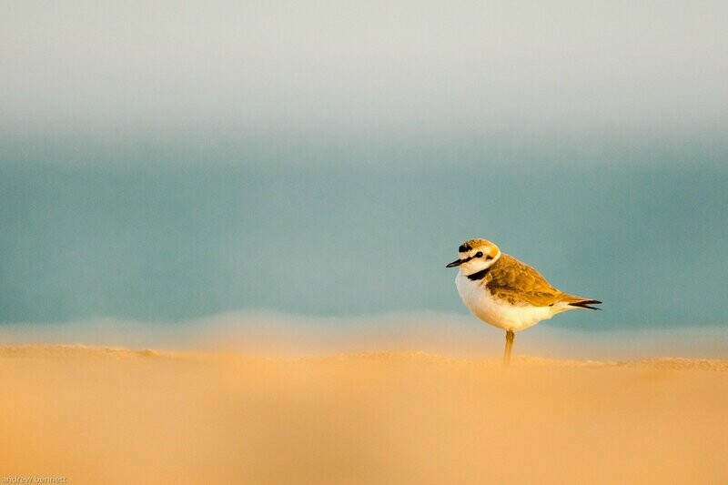 Sky, Sea & Sand