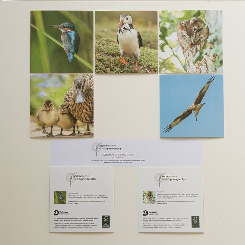 Mixed Pack of Greeting Cards  - 1