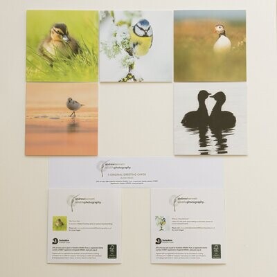 Mixed Pack of Greeting Cards - 2