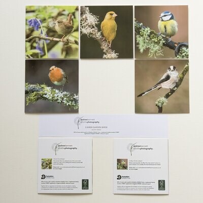 Garden Birds Greeting Cards