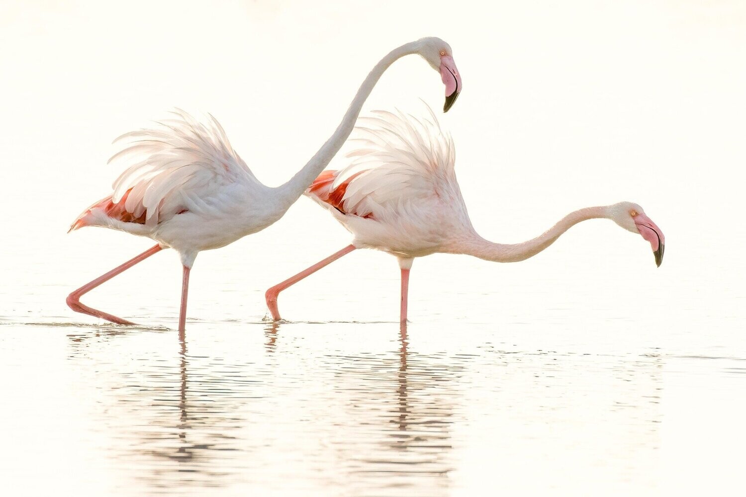 Walk this Way...