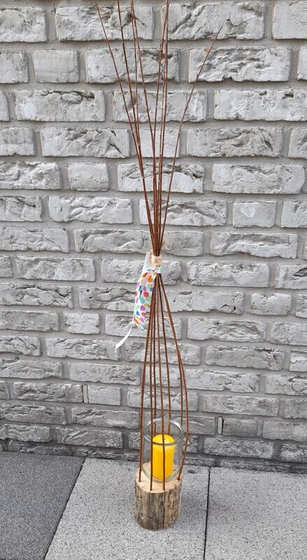 Weidenlaterne kleiner Stamm Weidenlaterne kleiner Stamm