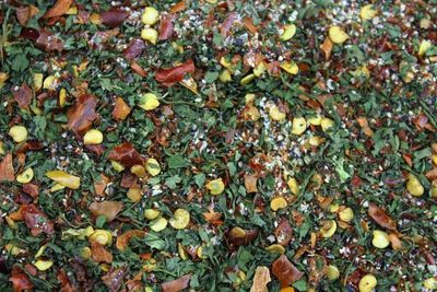 Piri Piri Gewürzmischung scharf Piri Piri Gewürzmischung scharf