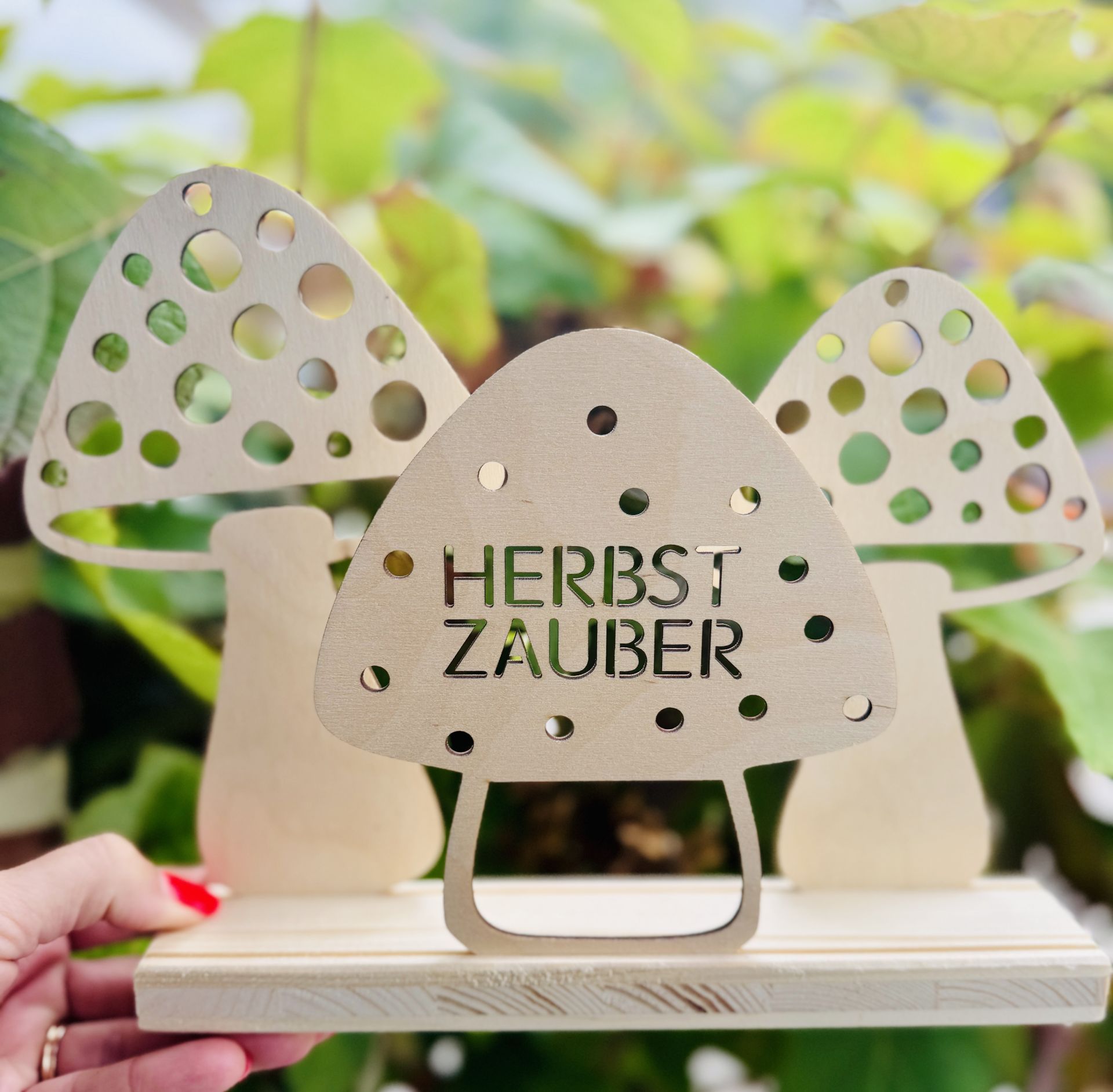 verschiedene Dekoleisten HERBSTZAUBER