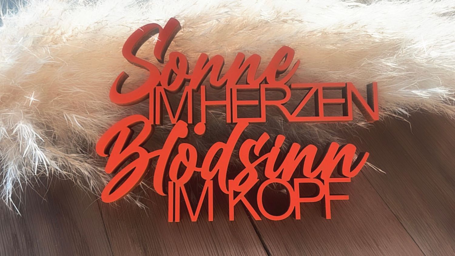 Schriftzug "Sonne im Herzen Blödsinn im Kopf"