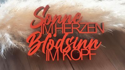 Schriftzug Schriftzug "Sonne im Herzen Blödsinn im Kopf"