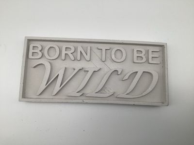 Born to be wild Born to be wild