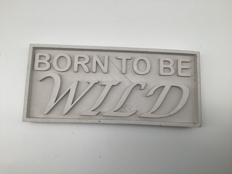 Born to be wild Born to be wild