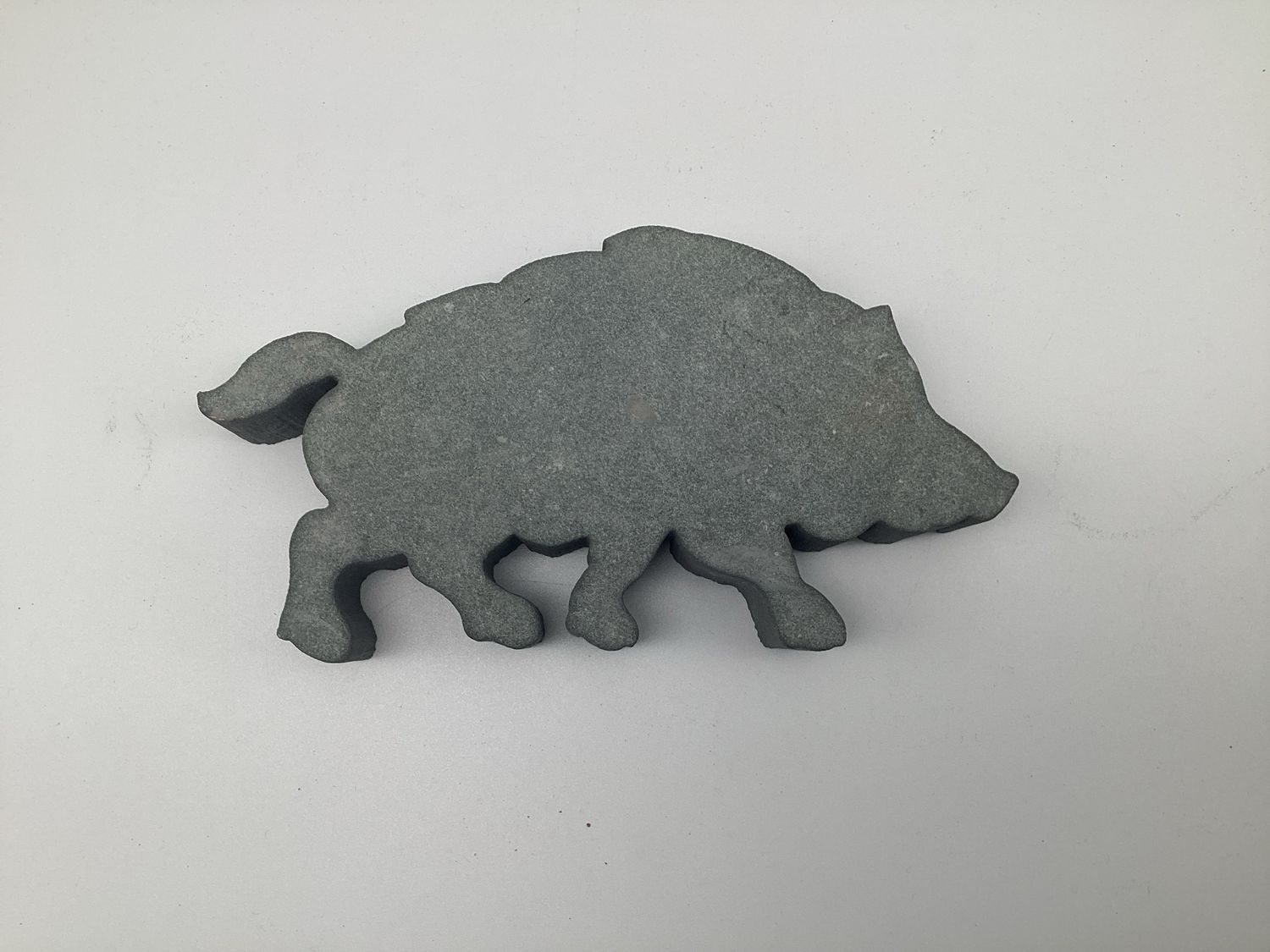 Katze-Wal-Wildschwein-Eichhörnchen-Dackel