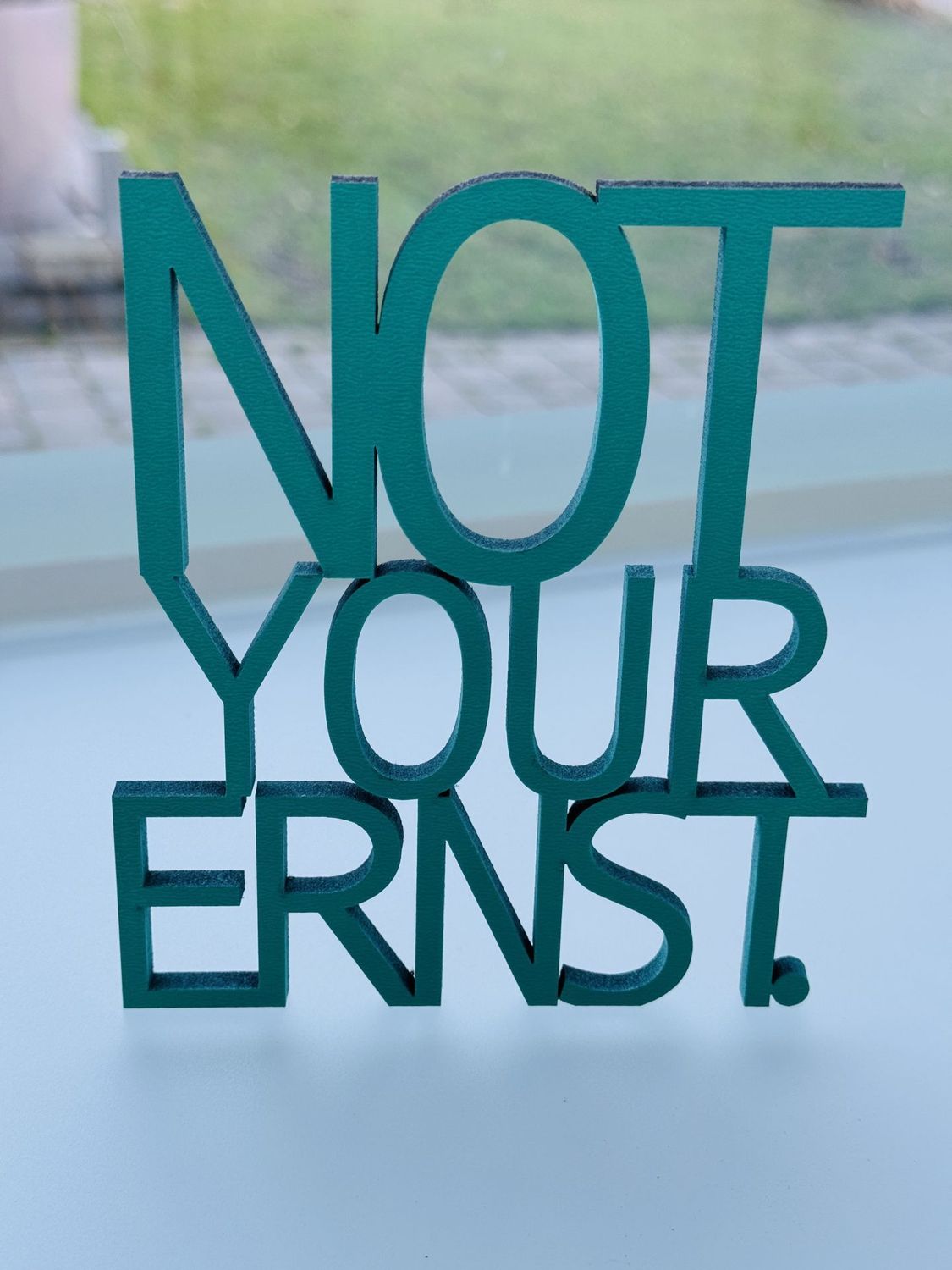 Schriftzug "Not your Ernst"