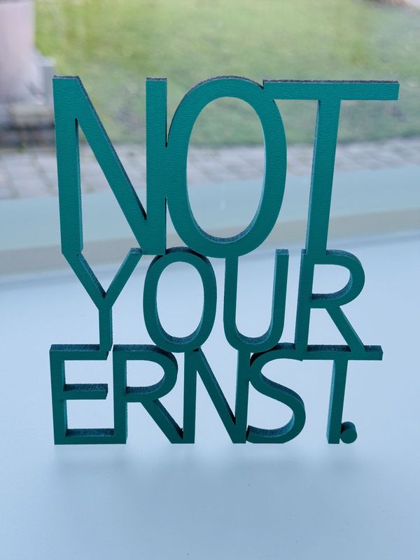 Schriftzug Schriftzug "Not your Ernst"