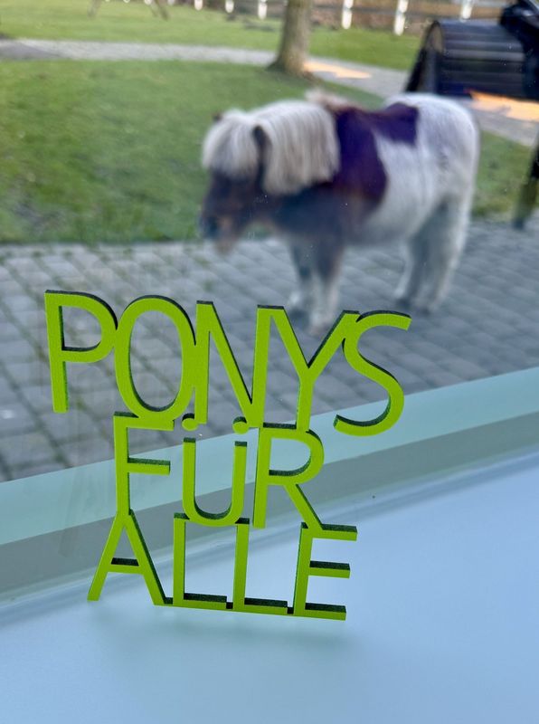 Schriftzug Schriftzug "Ponys für alle"