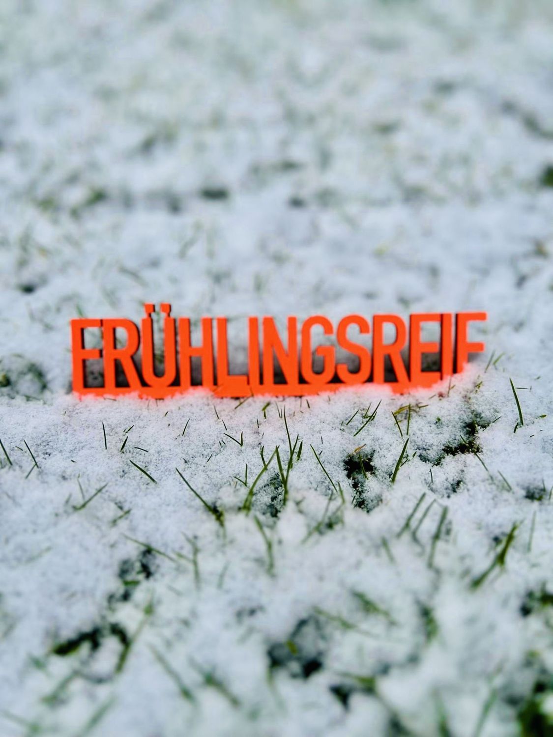 Schriftzug "Frühlingsreif" BLOCKSCHRIFT