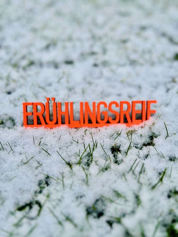 Schriftzug Schriftzug "Frühlingsreif" BLOCKSCHRIFT