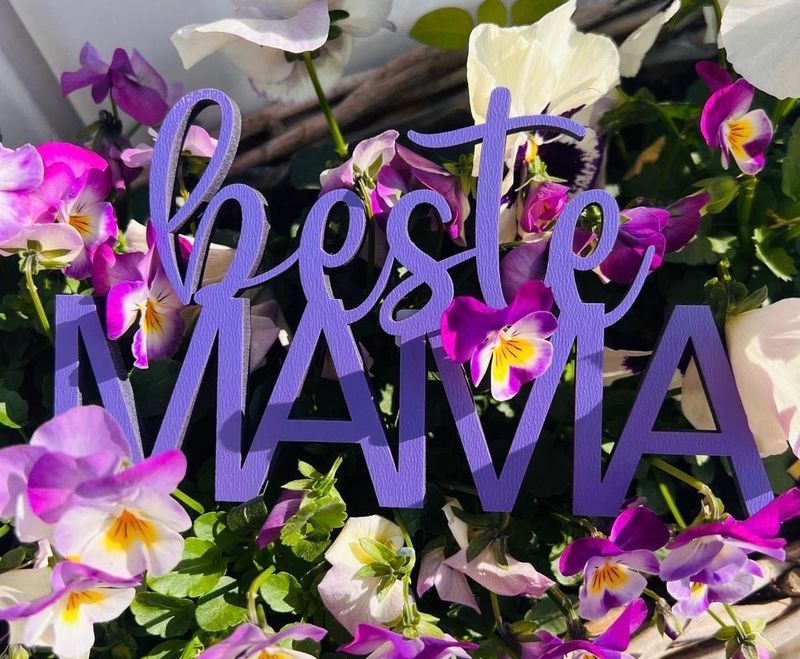 Schriftzug Schriftzug "beste MAMA"