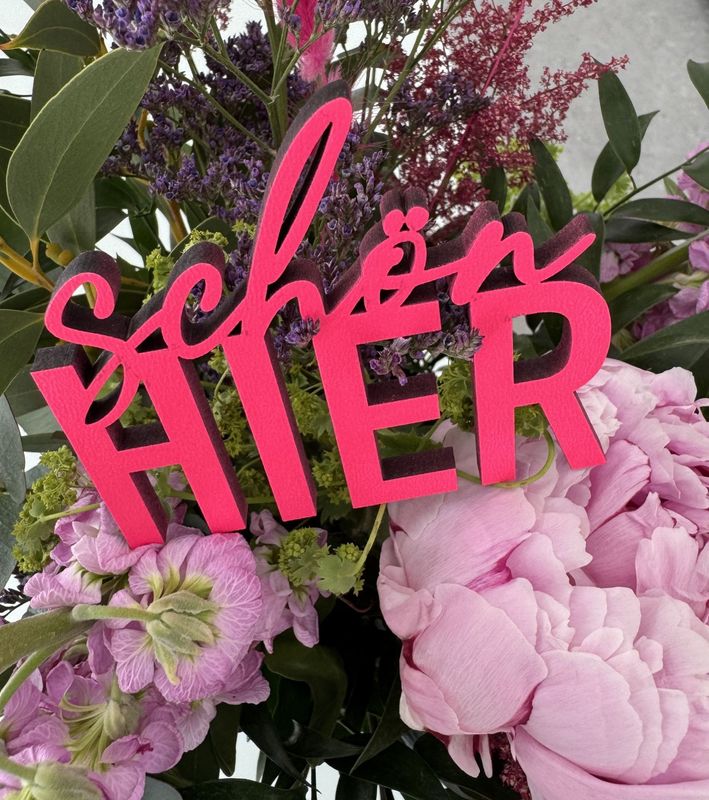 Schriftzug "schön HIER"