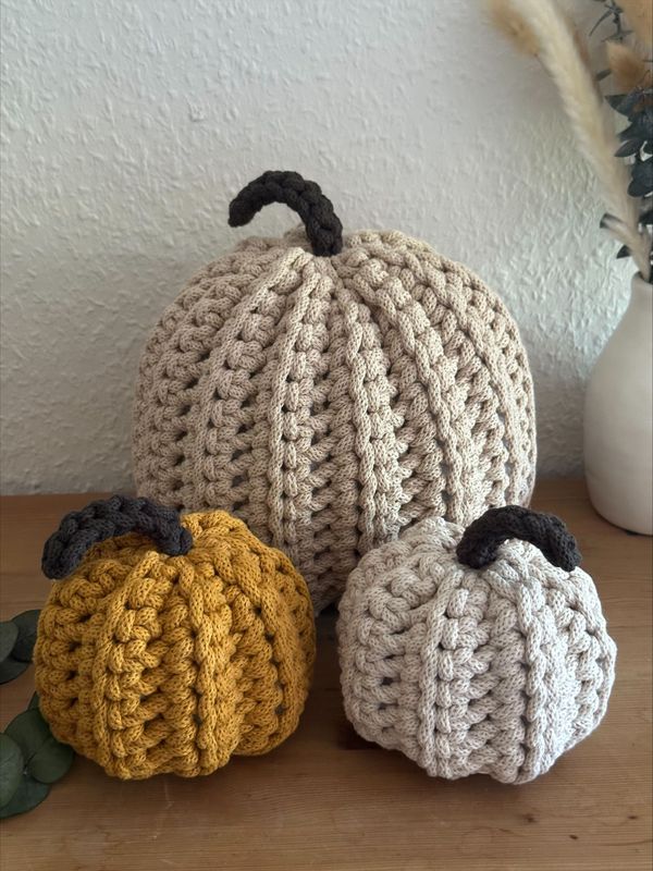 Kürbis mittel Kürbis mittel