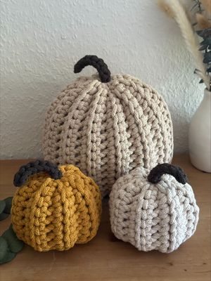 Kürbis groß Kürbis groß