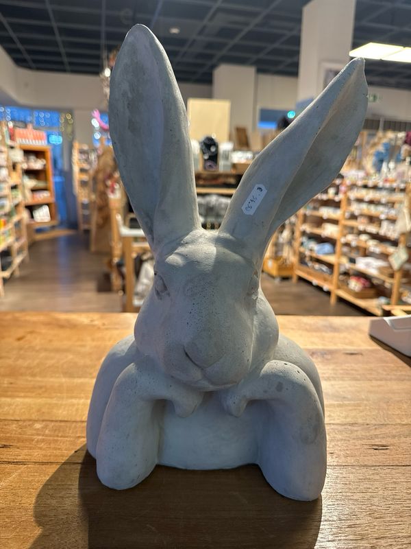 Hase denkend verschiedene Größen Hase denkend verschiedene Größen