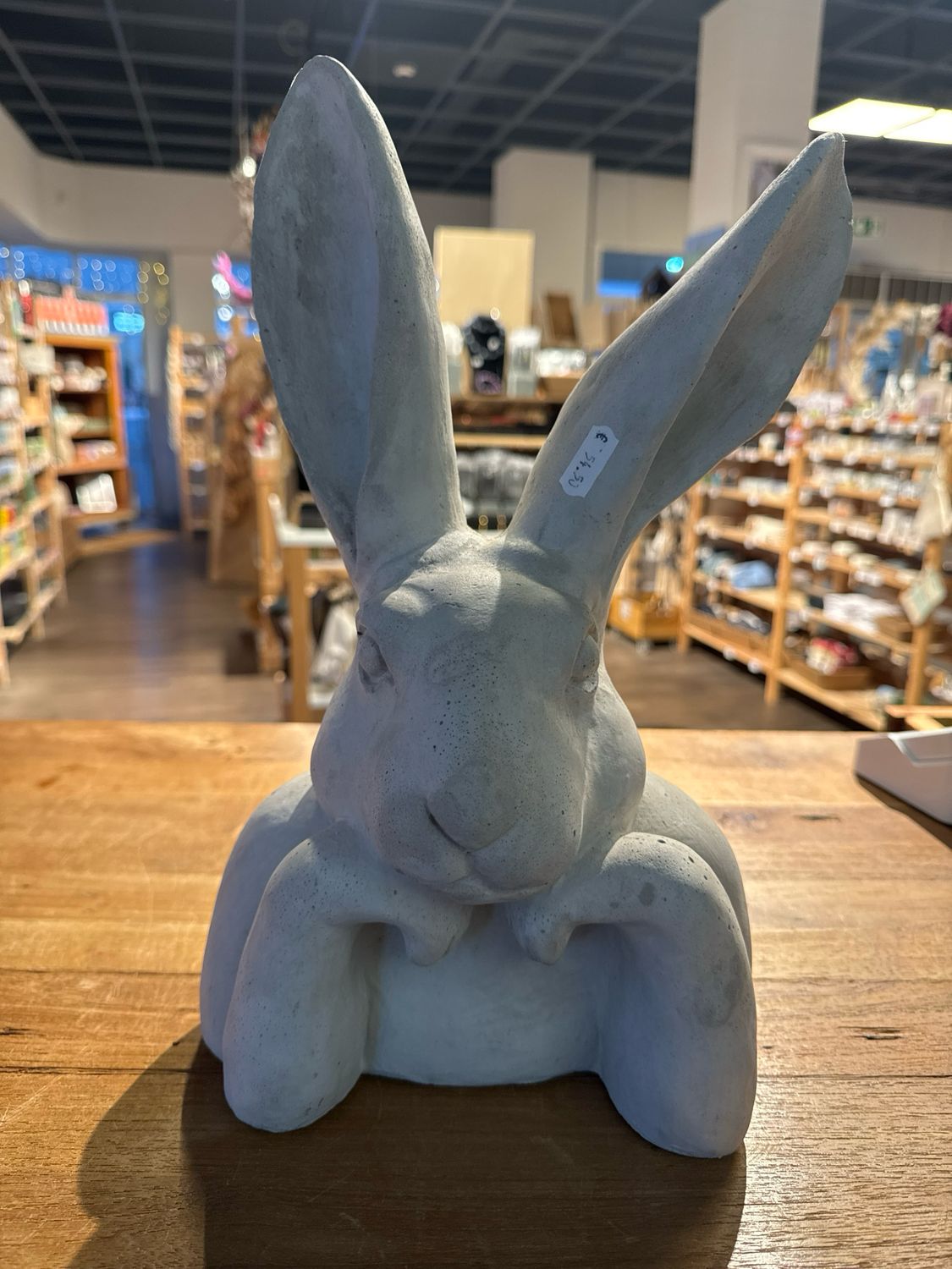 Hase denkend verschiedene Größen