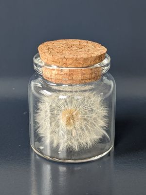 Wunscherfüller Glas 50 ml
