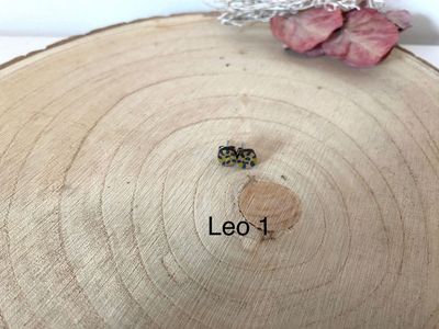 handbemalte Holzohrstecker 7mm Leo