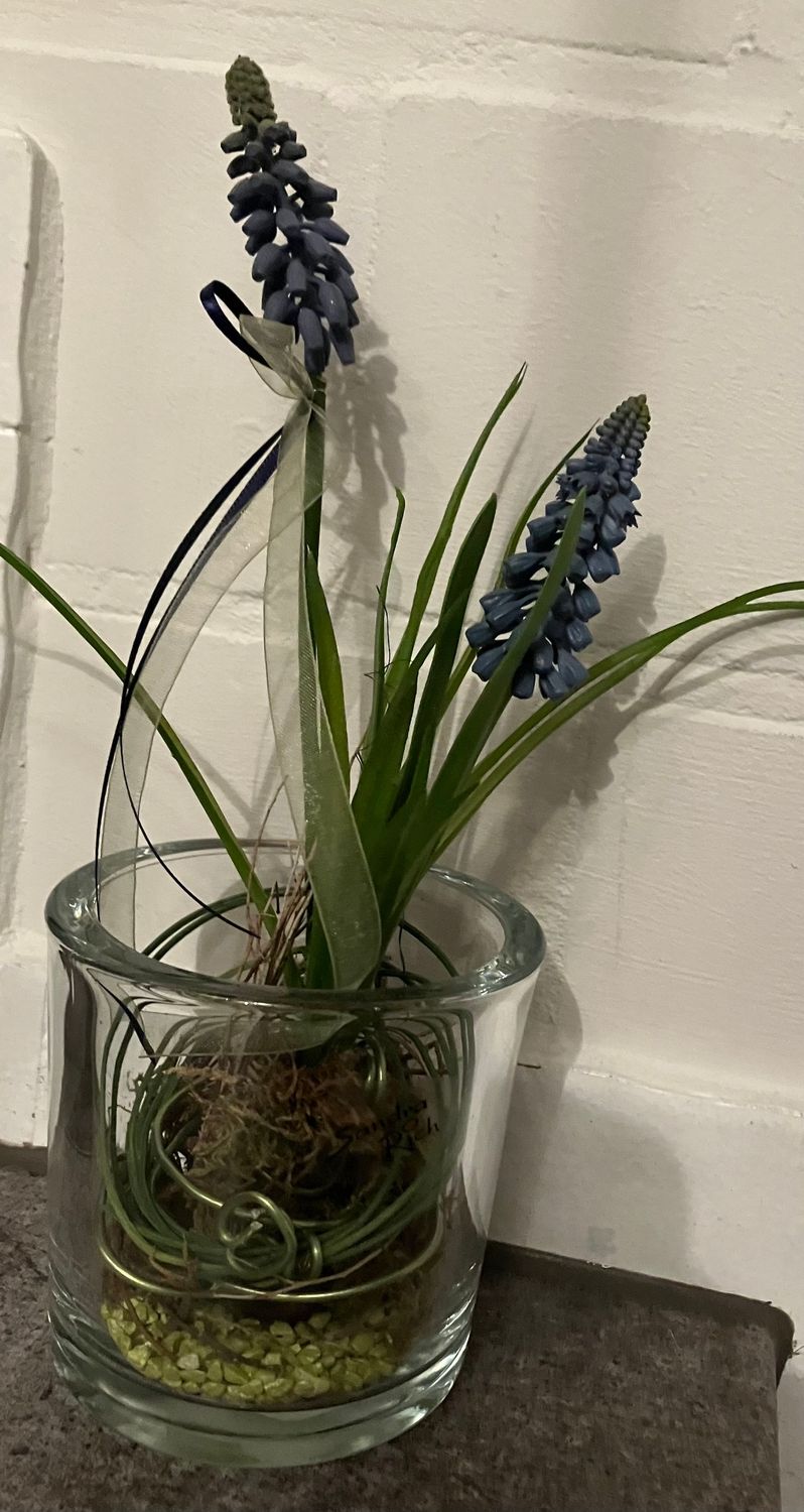 Dekoration viele verschiedene Varianten Dekoration viele verschiedene Varianten