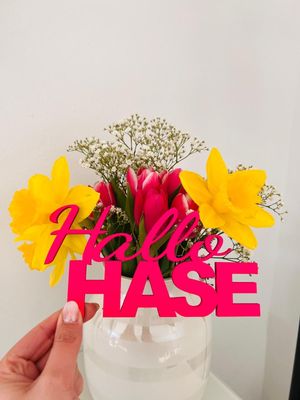 Schriftzug "Hallo Hase"