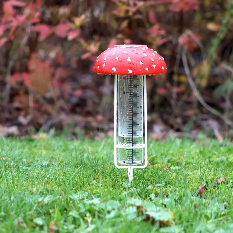 Regenmesser Pilz