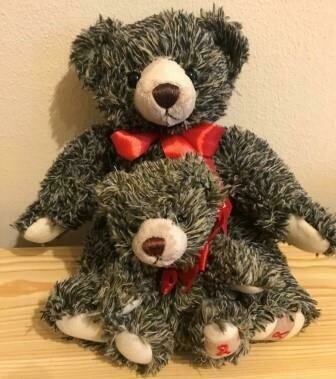 Teddy 2018 Duo