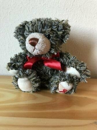 Teddy 2018