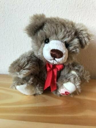 Teddy 2019