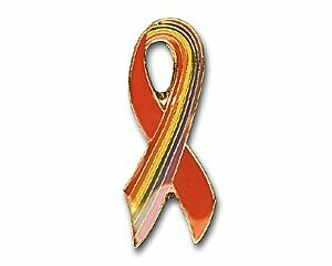 Red Ribbon/Rainbow Ribbon 19mm