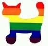 Katze
