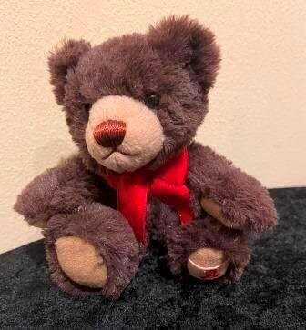 Teddy 2021/2022
