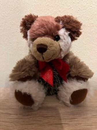 Teddy 2024