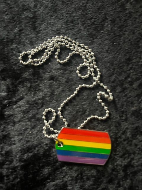 Dog-Tag Regenbogen ohne Rand klein
