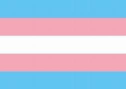 Flagge Transgender 20*14cm