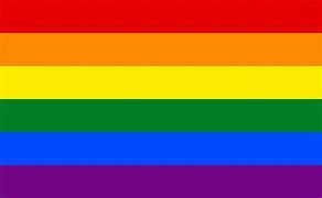 Flagge Regenbogen 20*14cm